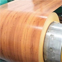 Txheej Txhuas Coil