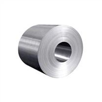 2101 Duplex Stainless Hlau Chev