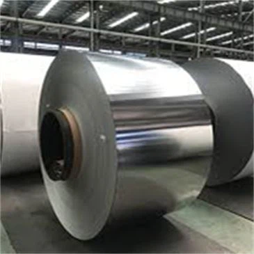 310 Stainless hlau kauj