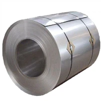 STS310S Stainless hlau kauj